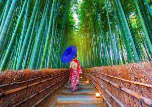 Enjoy: Asian Woman in Bamboo Forest (1000) legpuzzel