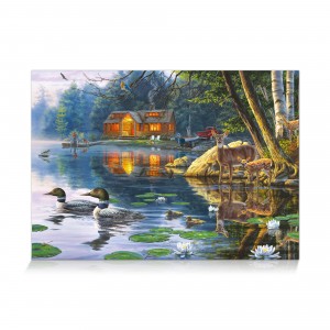 Star Puzzle: Echo Bay (1000) legpuzzel