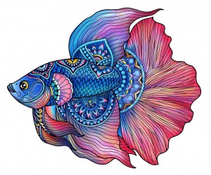 Rainbowooden Puzzles: Fighting Fish (112) houten legpuzzel