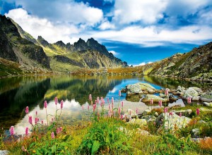 Trefl: Starolesnianski Pond, Slovakia (3000) legpuzzel