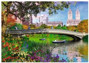Trefl: Central Park, New York - Dominic Davison (1000) legpuzzel