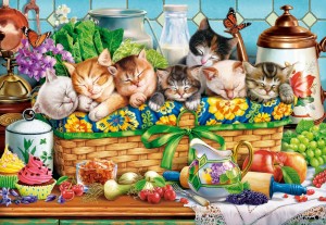 Castorland: Napping Kittens (1000) kattenpuzzel