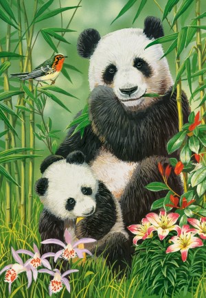 Castorland: Panda Brunch (1000) verticale puzzel