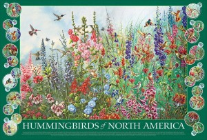 Cobble Hill: Hummingbirds of North America (2000) vogelpuzzel