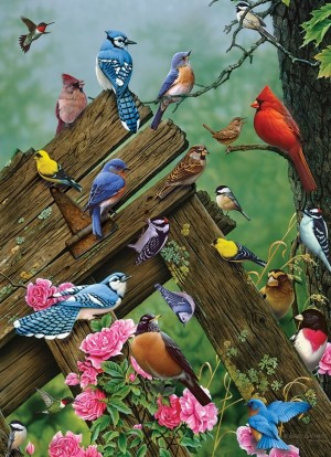 Cobble Hill: Birds of the Forest (1000) verticale puzzel