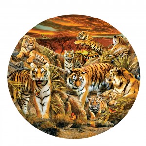 SunsOut: Tigers Galore (500) ronde puzzel