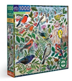 Eeboo: Birds of Scotland (1000) vierkante puzzel