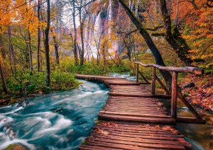 Enjoy: Forest Stream in Plitvice, Croatia (1000) legpuzzel