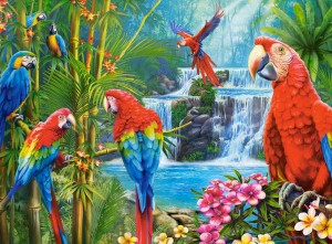 Castorland: Parrot Meeting (2000) vogelpuzzel