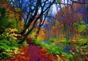 Grafika: Stylized Autumn Forest (1000) herfstpuzzel