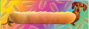 Aquarius: Wonderful Wieners (1000) panoramapuzzel