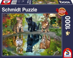 Schmidt: Dream Big (1000) kattenpuzzel