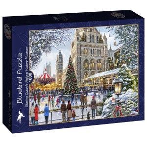 Bluebird: Skating Outside National History Museum (1000) kerstpuzzel