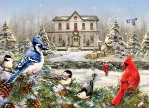 Cobble Hill: Country House Birds (1000) winterpuzzel