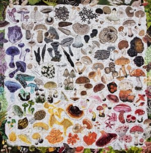 Eeboo: Mushroom Rainbow (1000) vierkante puzzel