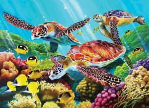 Cobble Hill: Molokini Current (350XL) Family puzzel