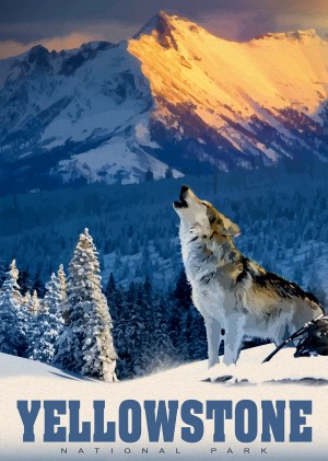 Alipson: Yellowstone Wolf (500) verticale puzzel