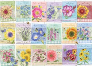 Cobble Hill: Seed Packets (500XL) legpuzzel