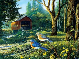 SunsOut: Sleepy Hollow Bluebirds (1000) vogelpuzzel