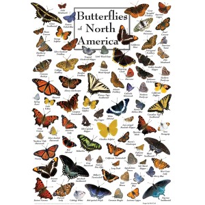 Master Pieces: Butterflies of North America (1000) verticale puzzel