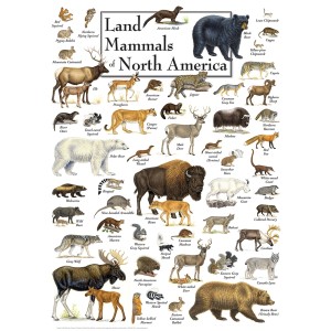 Master Pieces: Land Mammals of North America (1000) verticale puzzel