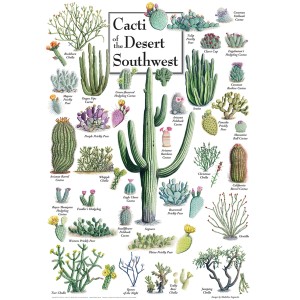Master Pieces: Cacti of the Desert Southwest (1000) verticale puzzel