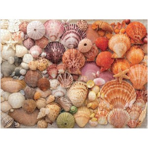 Galison: Vibrant Seashells (1000) legpuzzel