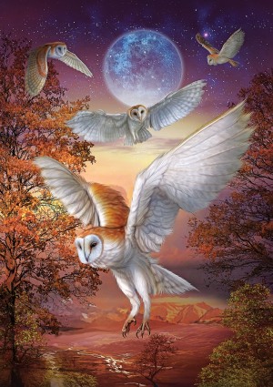 Art Puzzle: Moonlight Owls (1000) verticale puzzel