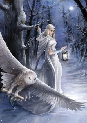 Art Puzzle: Anne Stokes - Midnight Messenger (1000) verticale puzzel