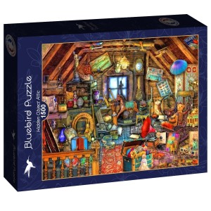 Bluebird: Hidden Object Attic (1500) legpuzzel