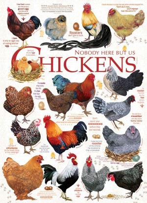 Cobble Hill: Chicken Quotes (1000) verticale puzzel