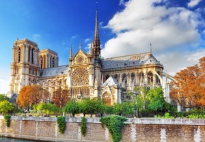 Bluebird: Cathédrale Notre-Dame de Paris (1000) legpuzzel