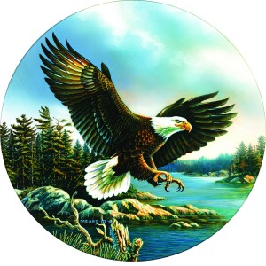 SunsOut: Eagle Landing (500) ronde puzzel