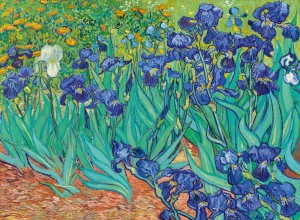 Art by Bluebird: Vincent van Gogh - Irises (3000) kunstpuzzel