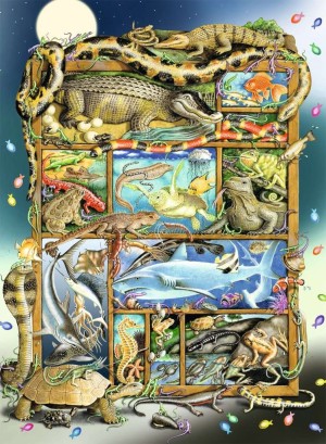 Ravensburger: Reptielen in het schap (200XXL) kinderpuzzel OP = OP