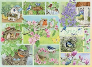 Cobble Hill: Garden Birds in Spring (500XL) vogelpuzzel