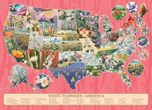 Cobble Hill: State Flowers of America (1000) legpuzzel