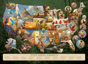 Cobble Hill: State Birds of America (1000) legpuzzel