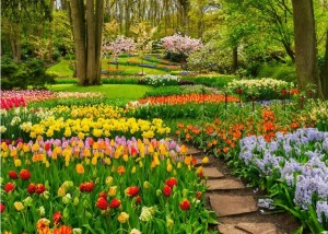 Tucker's Fun Factory: Bloemenpracht (1000) legpuzzel