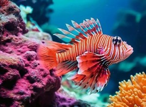 Ravensburger: Red Lionfish (500) legpuzzel