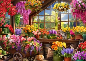 Bluebird: Potting Shed (500) legpuzzel