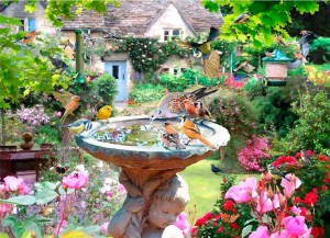 House of Puzzles: Summer Birds (1000) vogelpuzzel