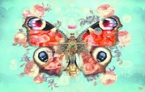 Heye: Wings no 3 (1000) vlinderpuzzel OP = OP