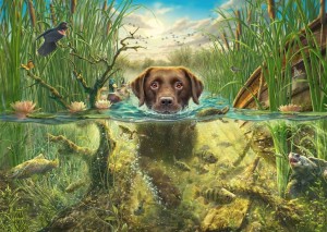 Schmidt: Hondenliefde Bruine Labrador in verkoelend water (1000) hondenpuzzel