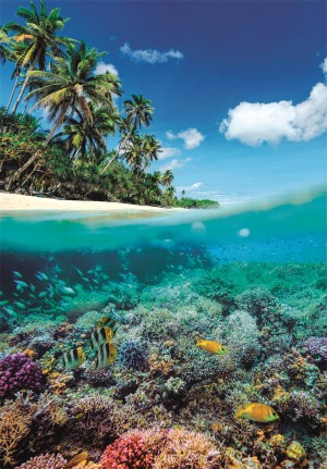 Clementoni: Summer Paradise (1000) verticale puzzel