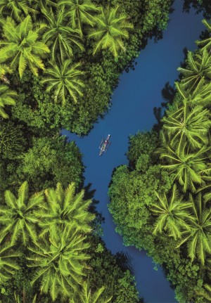 Clementoni: Tropical Aerial View (500) verticale puzzel