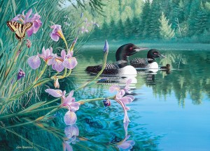 Cobble Hill: Iris Cove Loons (500XL) legpuzzel