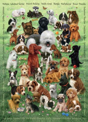 Cobble Hill: Puppy Love (350XL) verticale familypuzzel