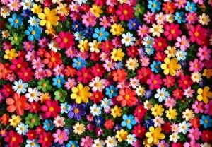 Alipson: Petal Explosion (1000) legpuzzel