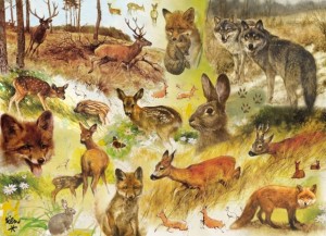 Bekking en Blitz: Rien Poortvliet - Drawn to Nature (1000) legpuzzel